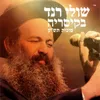 About תודות בהופעה Song