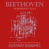 Symphony No. 5 in C Minor, Op. 67: III. Scherzo. Allegro