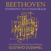Symphony No. 6 in F Major, Op. 68: IV. Gewitter. Sturm