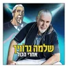 חוזר לעצמי-אינסטרומנטלי