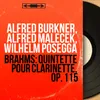 Quintette pour clarinette in B Minor, Op. 115: I. Allegro