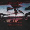 About Peace of Mind Song