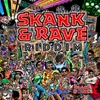 Skank & Rave-Radio Edit