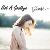 About Not a Goodbye Song