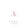 Magnet