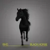 About Black Horse Song