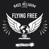 About Flying Free Song