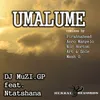 Umalume-Pirahna Head Remix