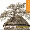 String Quartet No. 16 in F Major, Op. 135: IV. Grave, ma non troppo tratto - Allegro