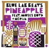 About Pineapple Song