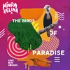 About The Birds Of Paradise Song