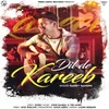 About Dil De Kareeb Song