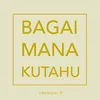 About Bagaimana Kutahu-Version 2 Song