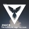 About The Pleasure and the Pain Song