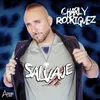 About Salvaje Song