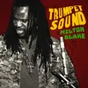 Trumpet Sound-Rub-a-Dub Mix