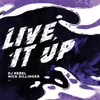 About Live It Up Song