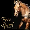 About Free Spirit Song