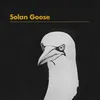 Solan Goose-Radio Edit