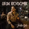 Sevda Gibi