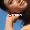 About Wonder Song