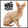 About Nudo Integrale Song
