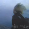 About Leave My Body Song