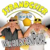 About Wir holen den Pokal 2018 Song