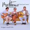 About Sevgiye Çeyrek Kala Song