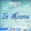 About In Dreams Song