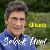 About Dilara Song