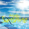 Hello Sunshine DJ Kryst-Off & Bertrand Edit