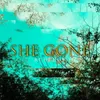 About She Gone Song