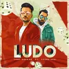 About Ludo Song