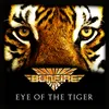About Eye of the Tiger Song