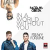 In a World Without You-Radio Edit