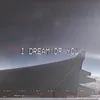 About I Dream Of You Song