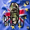 About Brexit Song