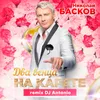 Два венца на карете-DJ Antonio Remix