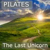 The Last Unicorn-Violin Cover