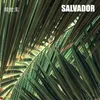 About Salvador Song