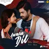 About Awara Dil-From "Awara Dil" Song