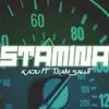 About Stamina Song