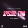 About Special Ting Song
