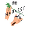 About HARVEST Song