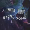 About Drone Song Song