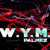 About W.Y.M.-Remix Song