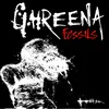 About Ghreena Song