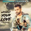 About Without Your Love-Telugu Version Song