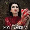 About Non passerà Song